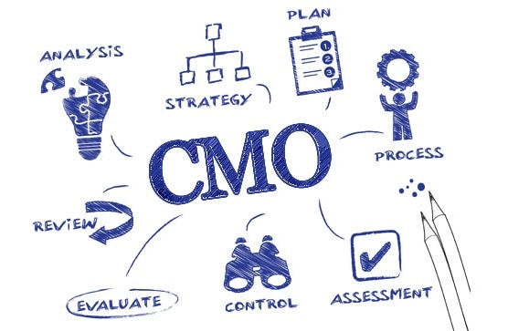 CMO là gì? Để trở thành CMO cần chuẩn bị những gì?