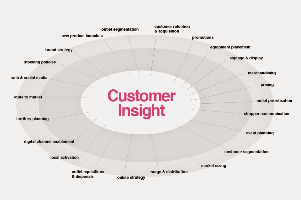 Insight là gì, các đặc tính của customer insight