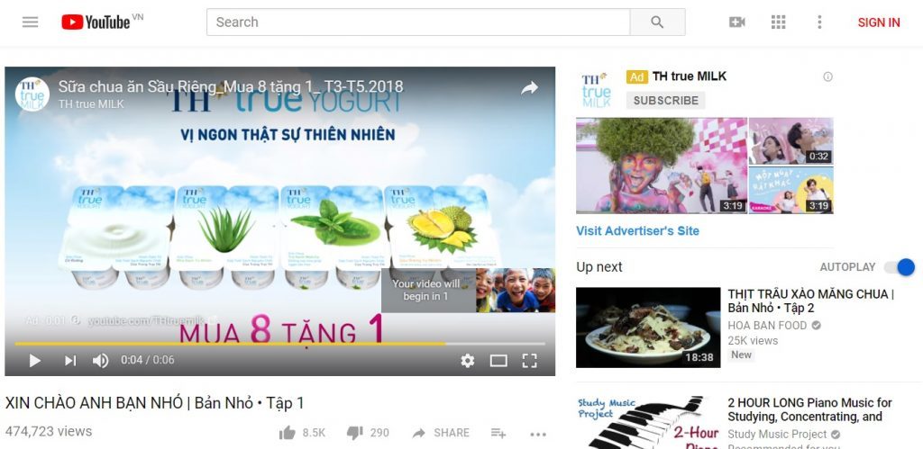 Các hình thức quảng cáo trên youtube Trueview
