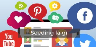 seeding là gì