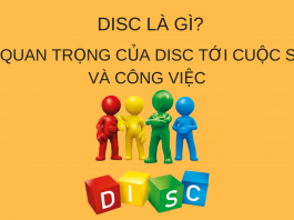 disc-la-gi-va-test-disc
