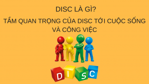 disc-la-gi-va-test-disc
