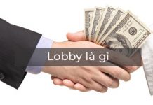 lobby là gì