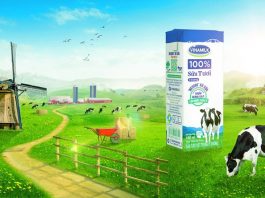 Tổng quan về chiến lược marketing của Vinamilk